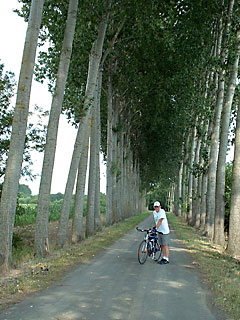 Barrie with bike in poplar lined lane